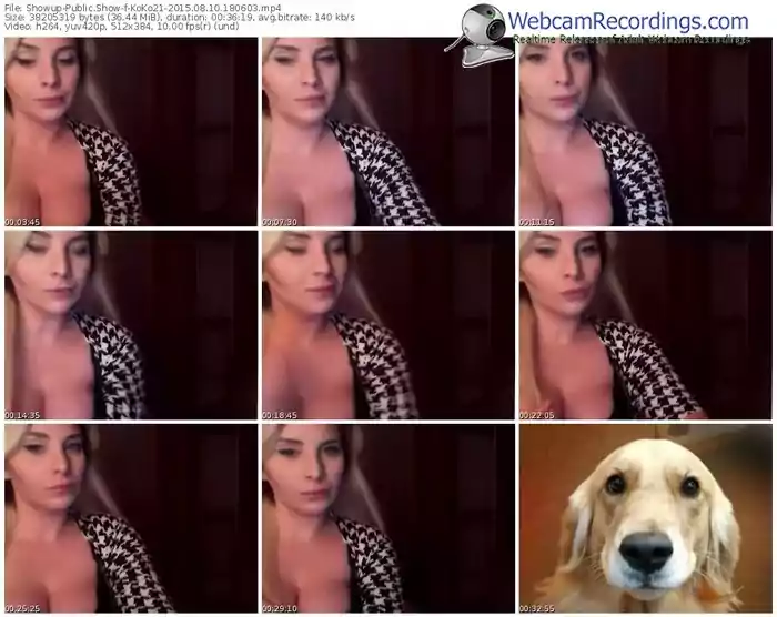 showup-koko21-public-show-08_10_2015-18_06_03