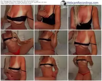 showup-blackcat1-public-show-08_10_2015-01_45_17