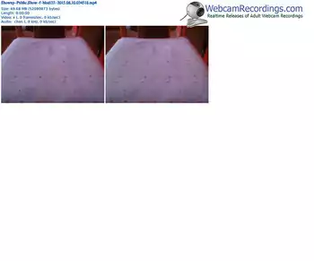 showup-blodi22-public-show-08_10_2015-03_45_18