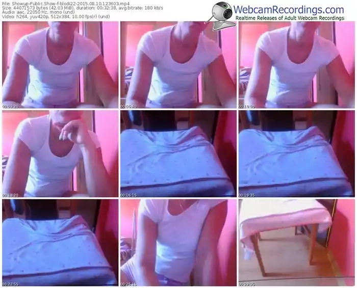 showup-blodi22-public-show-08_10_2015-12_36_03