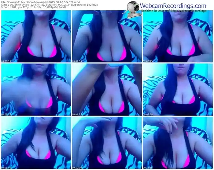 showup-pieknedd-public-show-08_10_2015-06_40_22