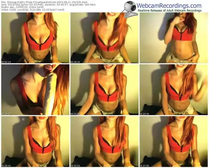 showup-quelquesdelices-public-show-08_11_2015-19_19_25