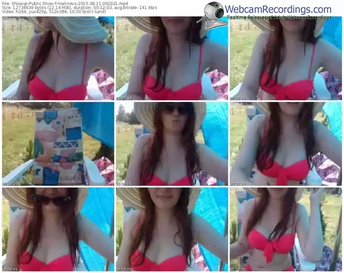 showup-malinovo-public-show-08_11_2015-09_29_21