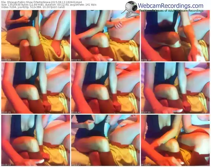 showup-panterkowa-public-show-08_12_2015-18_24_43