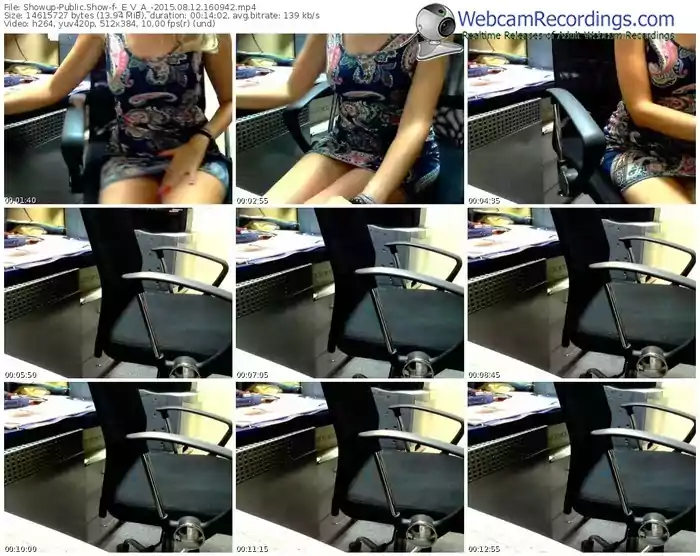 showup-_e_v_a_-public-show-08_12_2015-16_09_42