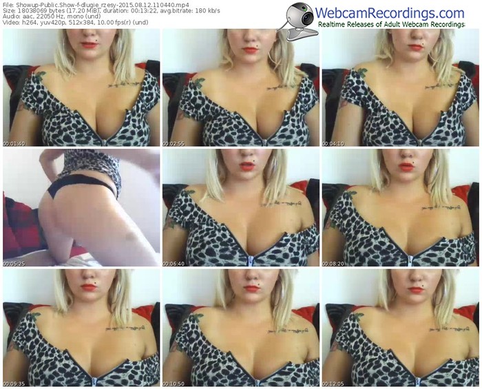 showup-dlugie_rzesy-public-show-08_12_2015-11_04_40