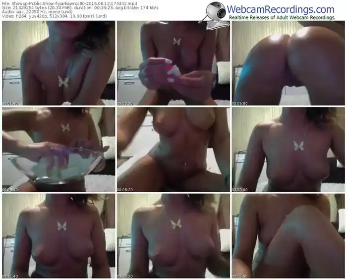 showup-parkawroc80-public-show-08_12_2015-17_44_42