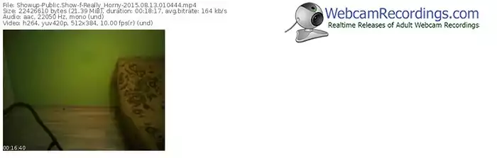 showup-really_horny-public-show-08_13_2015-01_04_44