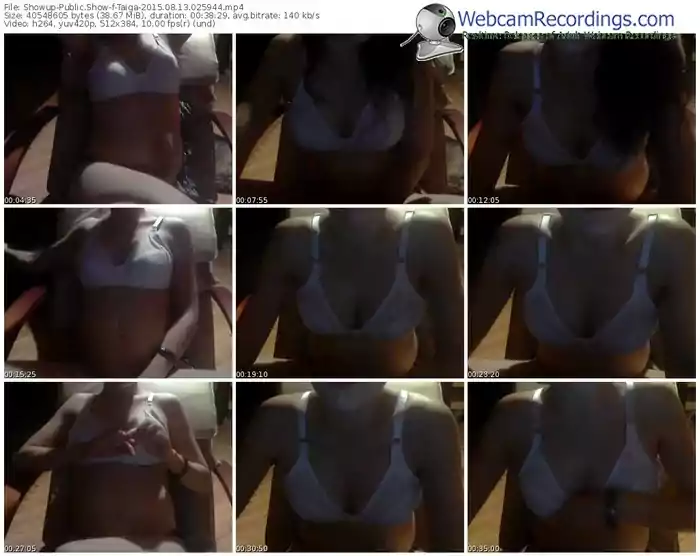 showup-taiga-public-show-08_13_2015-02_59_44