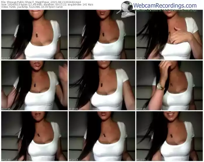 showup-_magnifique_-public-show-08_13_2015-00_24_44