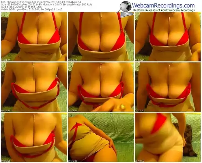 showup-czarujacapani-public-show-08_13_2015-03_14_44