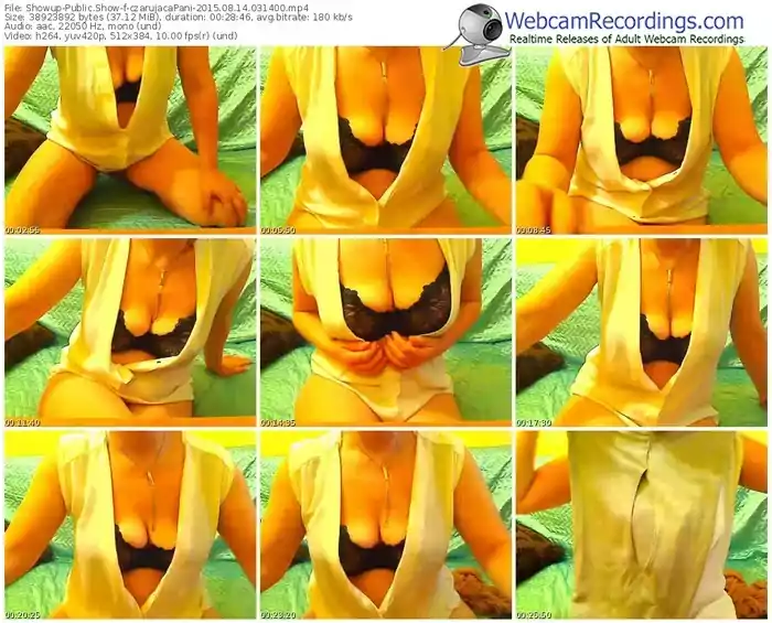 showup-czarujacapani-public-show-08_14_2015-03_14_00