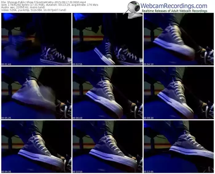 showup-siostrawiatru-public-show-08_17_2015-01_39_30