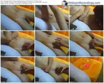 showup-parkastulecia-public-show-08_17_2015-12_04_31