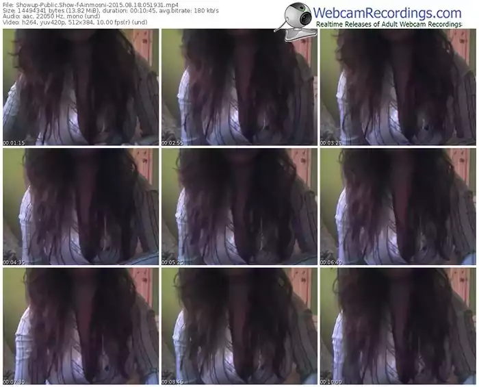 showup-ainmosni-public-show-08_18_2015-05_19_31