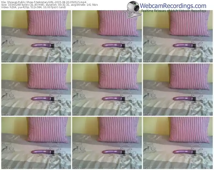 showup-sekretarygirl-public-show-08_20_2015-05_05_15