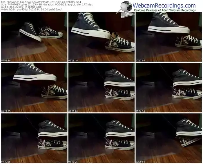 showup-siostrawiatru-public-show-08_20_2015-02_10_15