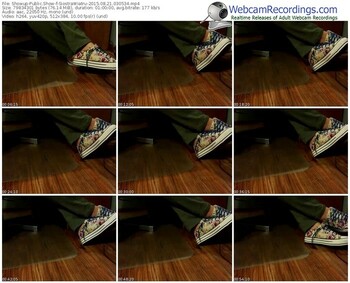 showup-siostrawiatru-public-show-08_21_2015-03_05_34