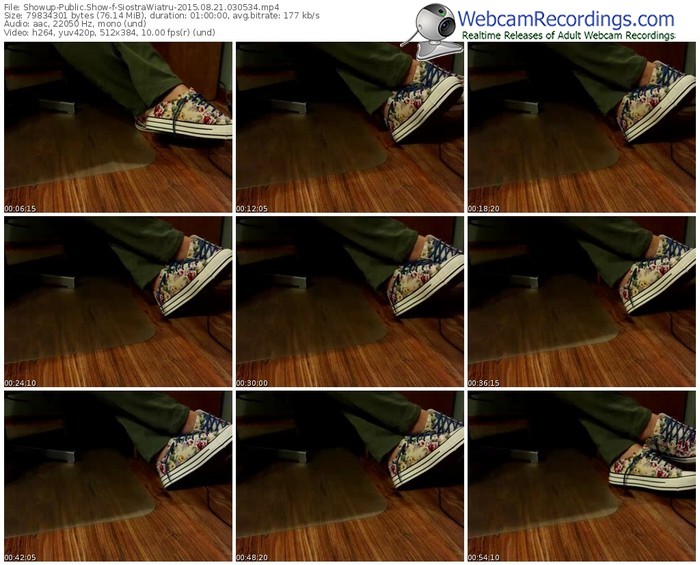 showup-siostrawiatru-public-show-08_21_2015-03_05_34