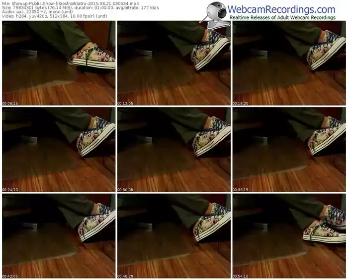 showup-siostrawiatru-public-show-08_21_2015-03_05_34