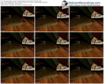 showup-siostrawiatru-public-show-08_21_2015-05_05_34