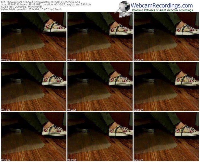 showup-siostrawiatru-public-show-08_21_2015-05_05_34