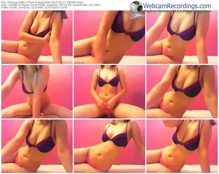 showup-sexykotek-public-show-08_27_2015-18_06_09