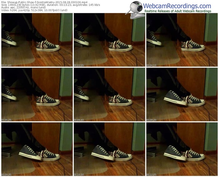 showup-siostrawiatru-public-show-08_28_2015-03_01_06