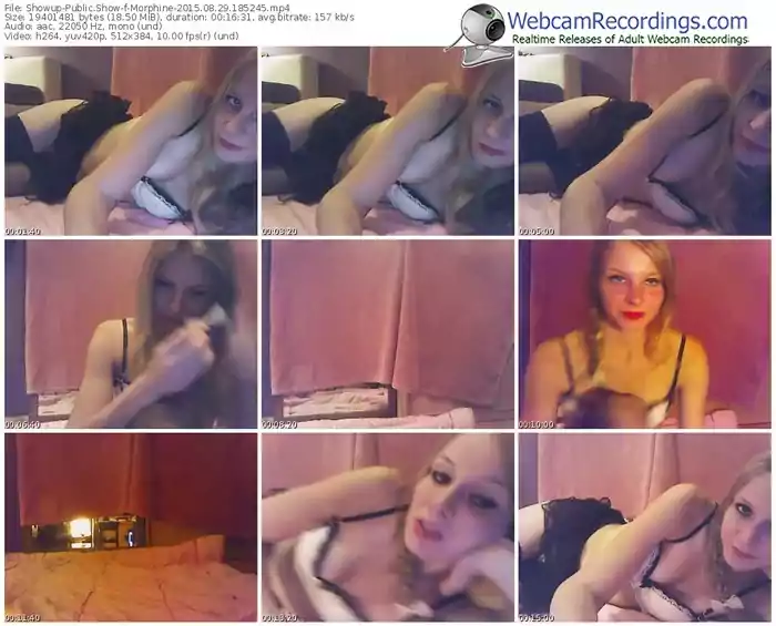 showup-morphine-public-show-08_29_2015-18_52_45