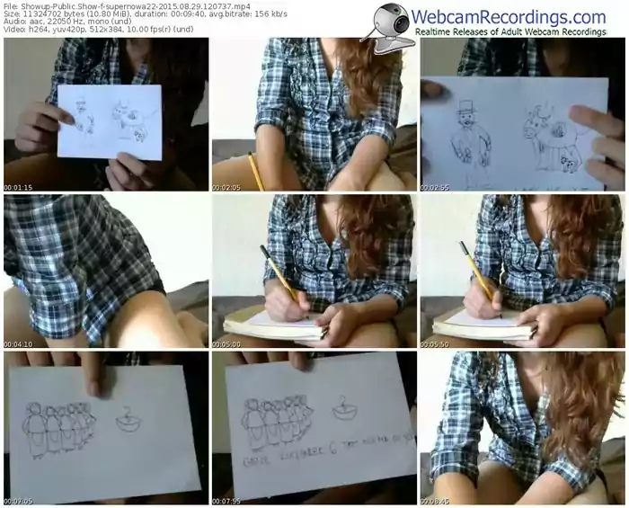 showup-supernowa22-public-show-08_29_2015-12_07_37