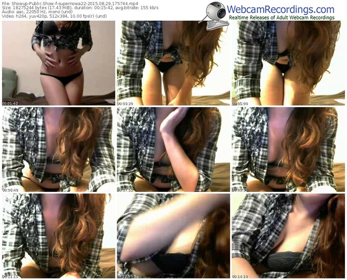 showup-supernowa22-public-show-08_29_2015-17_57_44