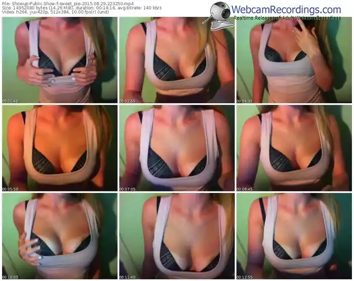 showup-sweet_pie-public-show-08_29_2015-22_32_50