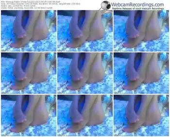 showup-zz222-public-show-08_29_2015-19_47_46