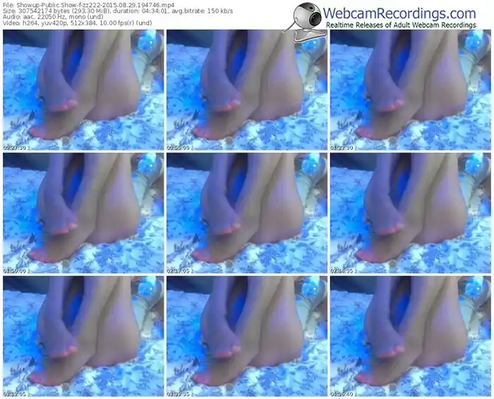 showup-zz222-public-show-08_29_2015-19_47_46