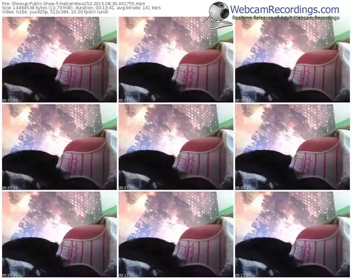 showup-malzenstwo252-public-show-08_30_2015-04_27_55