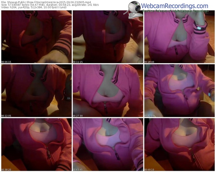 showup-nocnagrzesznica-public-show-09_06_2015-23_29_05