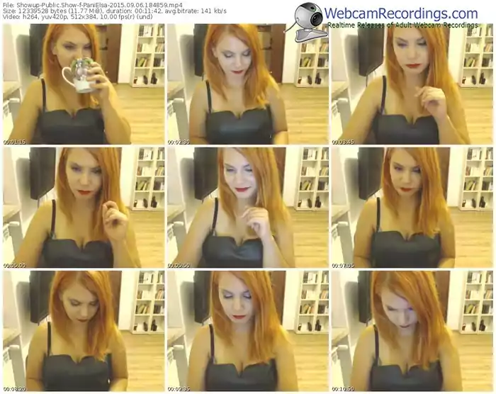 showup-panielsa-public-show-09_06_2015-18_48_59