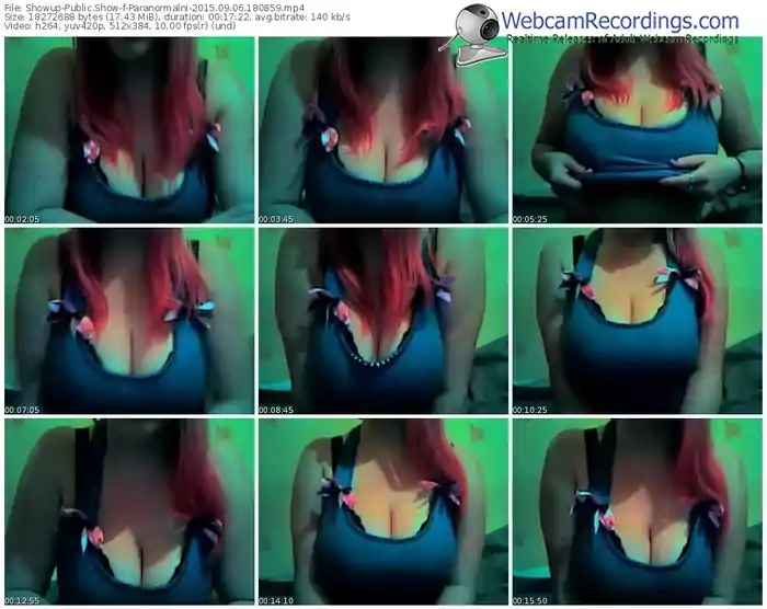 showup-paranormalni-public-show-09_06_2015-18_08_59