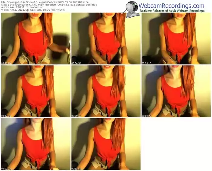 showup-quelquesdelices-public-show-09_06_2015-20_39_02