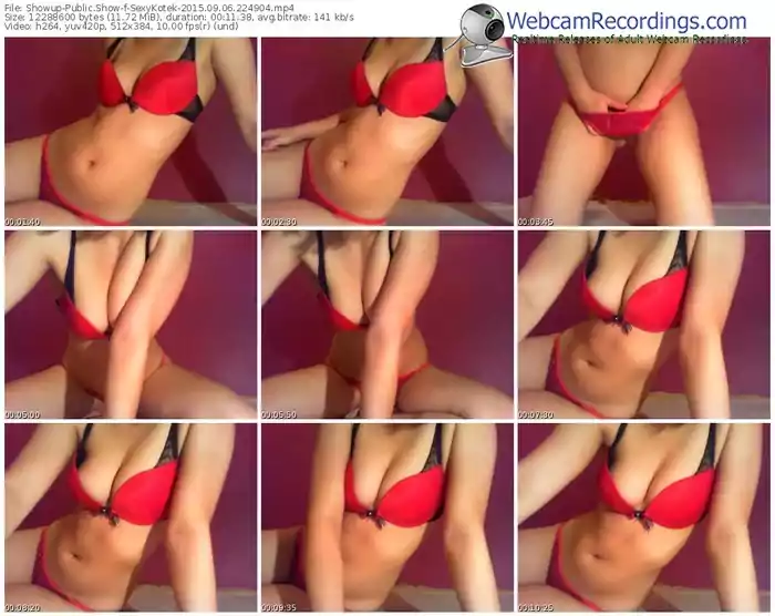 showup-sexykotek-public-show-09_06_2015-22_49_04