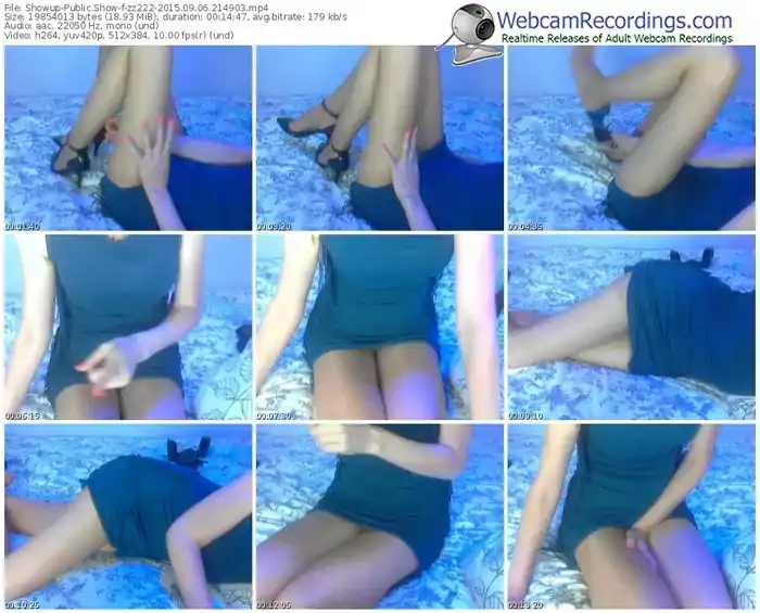 showup-zz222-public-show-09_06_2015-21_49_03