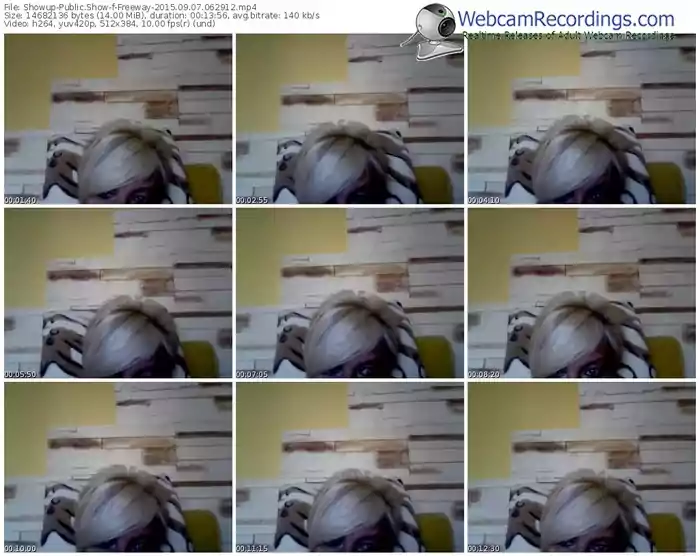 showup-freeway-public-show-09_07_2015-06_29_12