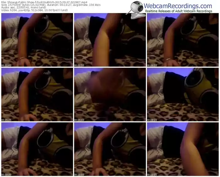 showup-fuckyoubitch-public-show-09_07_2015-02_29_07