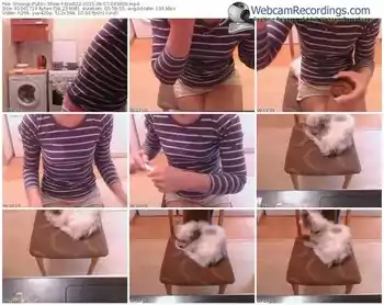 showup-blodi22-public-show-09_07_2015-04_34_09