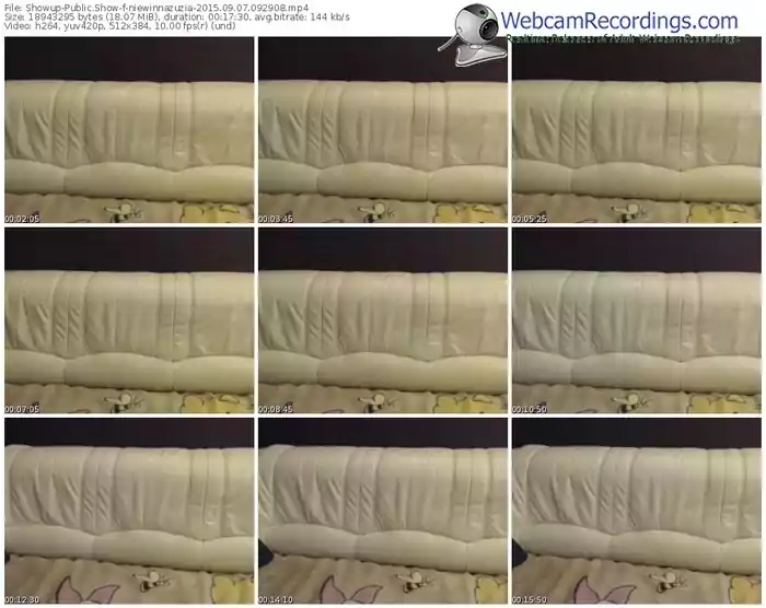 showup-niewinnazuzia-public-show-09_07_2015-09_29_08