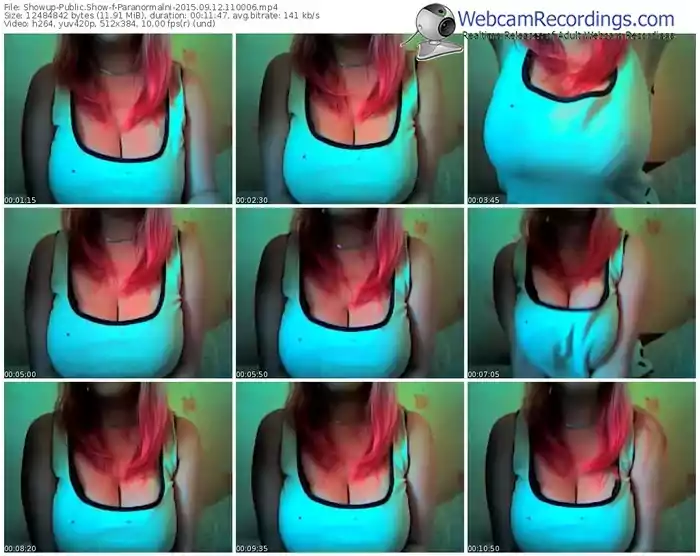 showup-paranormalni-public-show-09_12_2015-11_00_06