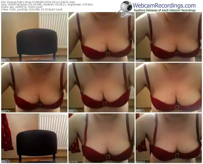 showup-cipa000-public-show-09_14_2015-12_41_01