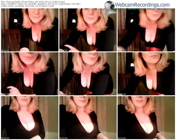 showup-pani_am-public-show-09_14_2015-23_36_13