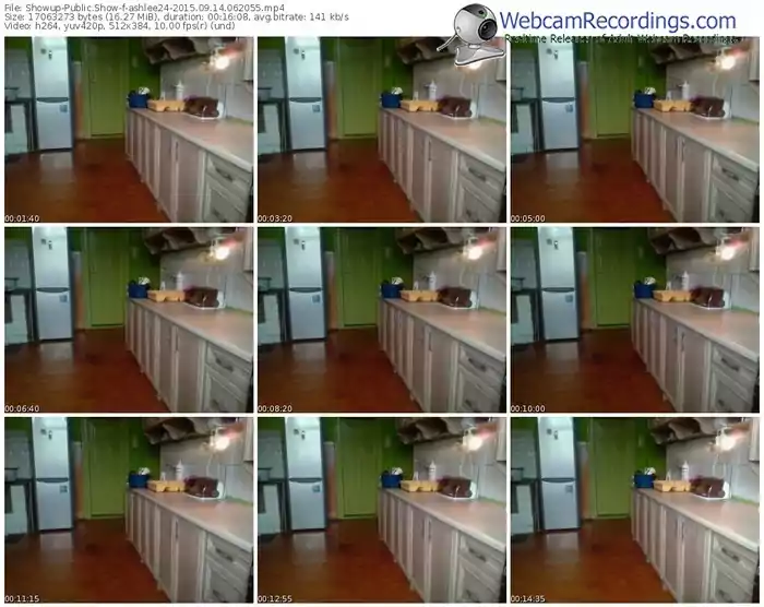 showup-ashlee24-public-show-09_14_2015-06_20_55