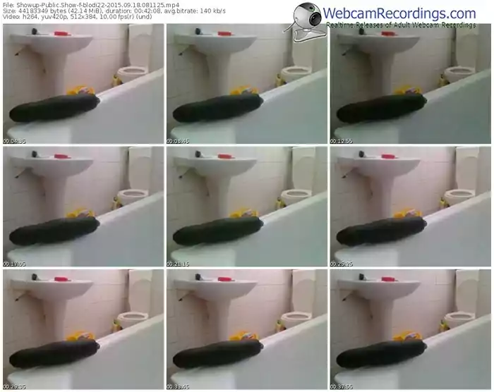 showup-blodi22-public-show-09_18_2015-08_11_25